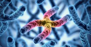 سیتوژنتیک و کاریوتیپ ژن آزما 