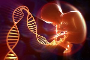 تشخیص پیش از بارداریPND ژن آزما 