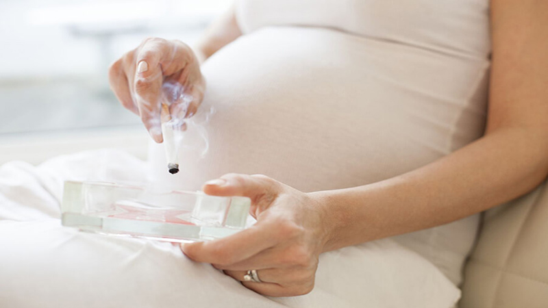ژنوم | بارداری بعد از سقط جنین