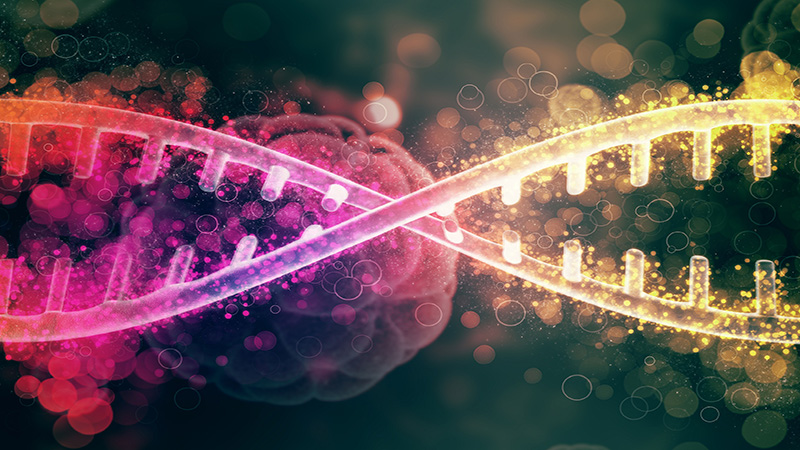 تعیین توالی کل اگزوم | بهترین آزمایشگاه ژنتیک اصفهان