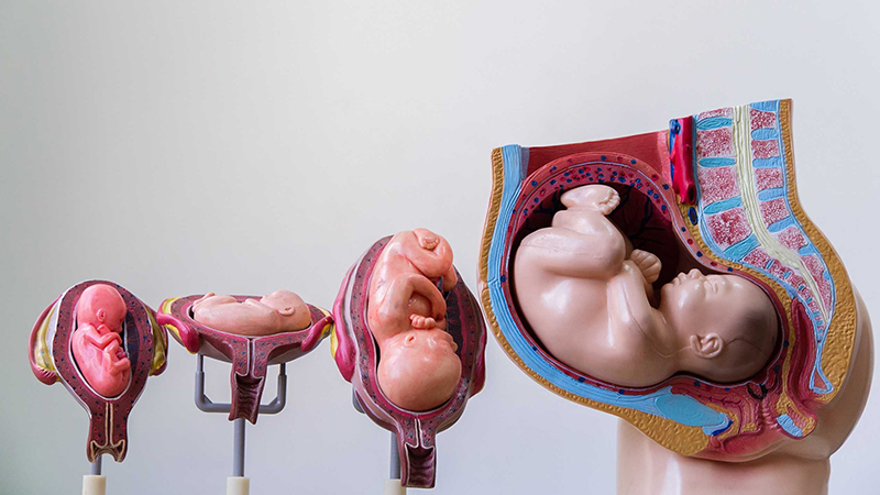 عوارض بارداری مولار | آزمایشگاه ژن آزما