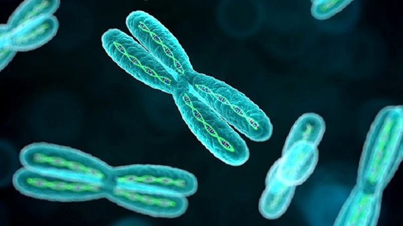 کروموزوم چیست؟ | بهترین آزمایشگاه ژنتیک اصفهان