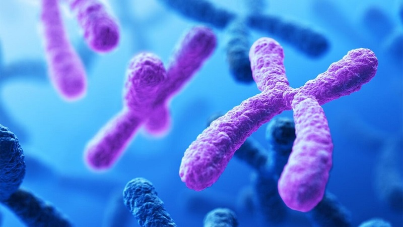 اختلالات تک ژنی چیست؟ | بهترین آزمایشگاه ژنتیک اصفهان