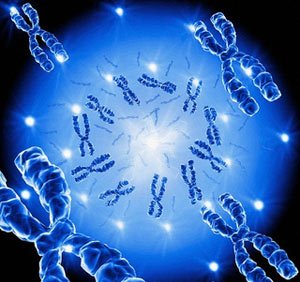 دلایل ناهنجاری‌های کروموزومی و انواع آن | بهترین آزمایشگاه ژنتیک اصفهان
