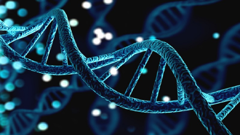 انواع اختلالات ژنتیکی چیست؟ | بهترین آزمایشگاه ژنتیک اصفهان
