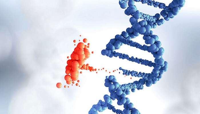 تشخیص بیماری سندرم آنجلمن