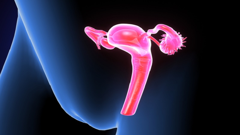 درمان سرطان دهانه رحم | آزمایشگاه ژنتیک اصفهان