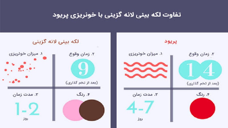 لانه گزینی چیست | مشاوره ژنتیک اصفهان