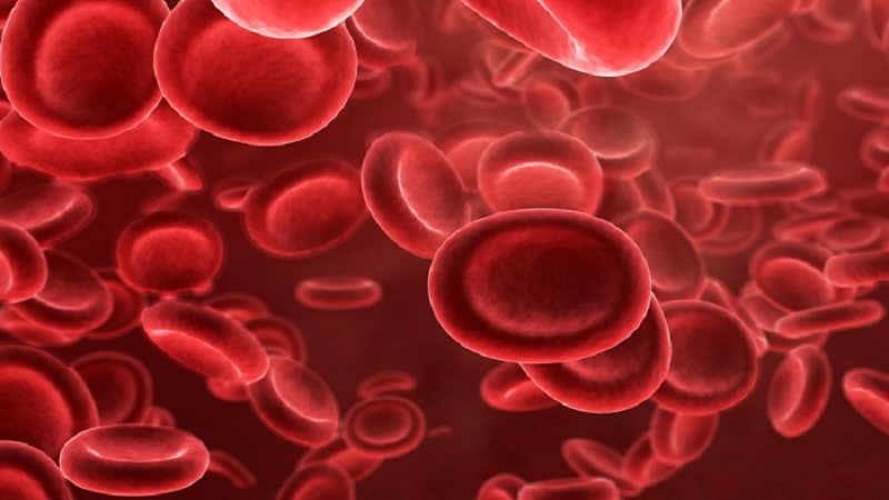 درمان کم خونی سلول های داسی شکل | بهترین آزمایشگاه ژنتیک اصفهان