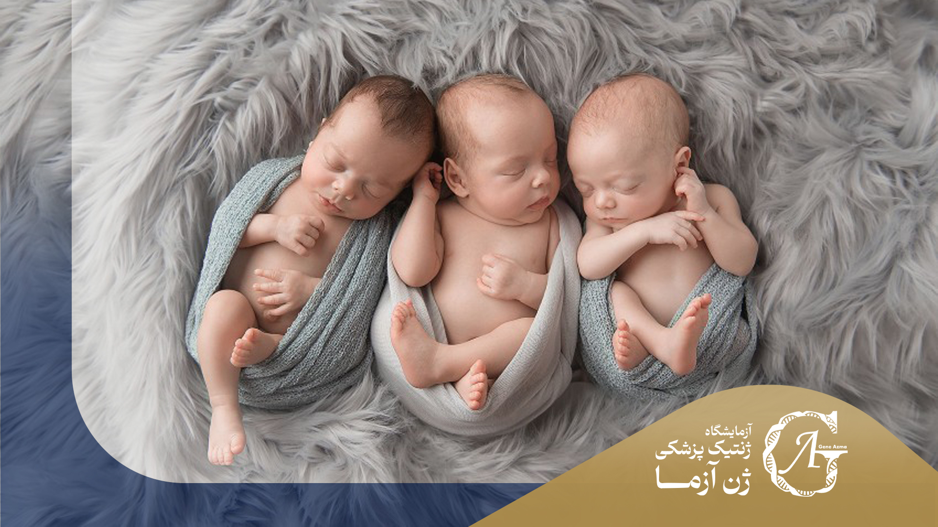 آزمایش ژنتیک در بارداری چند قلو