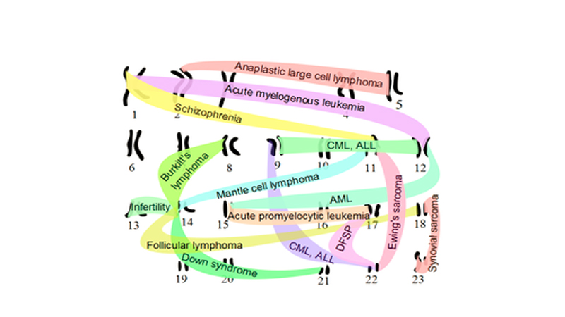 تشخیص جا به جایی کروموزوم در جنین | بهترین آزمایشگاه ژنتیک صفهان
