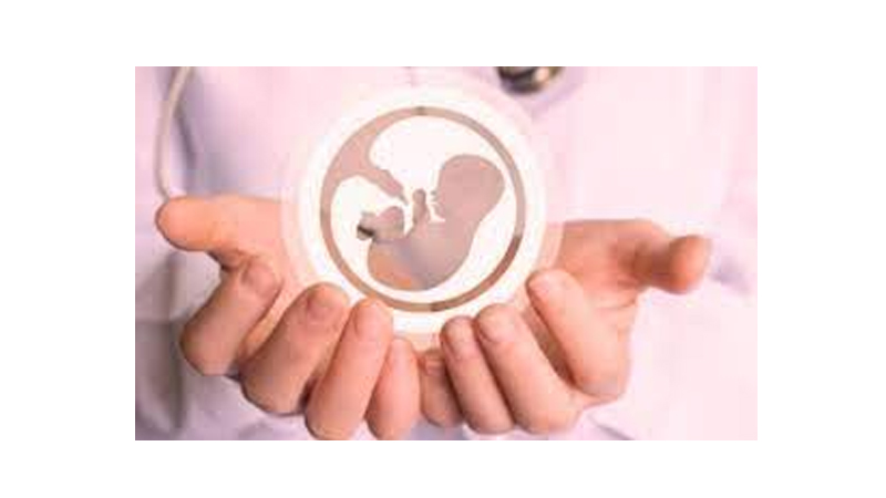 آشنایی با عوامل موثر در افزایش سقط جنین | بهترین آزمایشگاه ژنتیک اصفهان