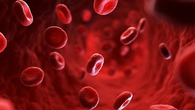 دیسکرازی خون | ازمایشگاه ژنتیک اصفهان