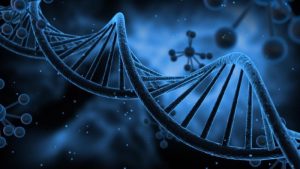 خدمات مشاوره ژنتیک قبل از بارداری