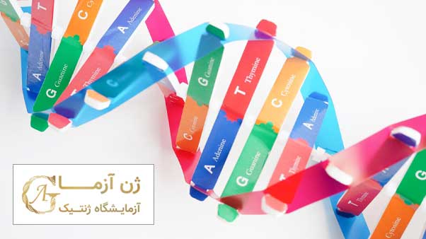 آزمایش dna برای اثبات فرزند در اصفهان 