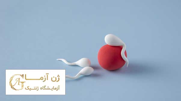 آزمایش ژنتیک ناباروری در اصفهان | ژن آزما