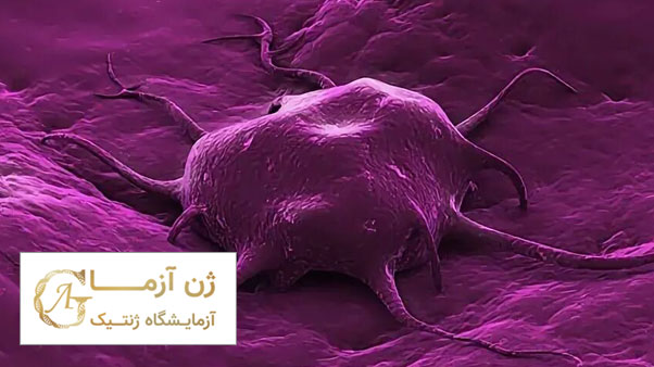 پیشگیری از سرطان ارثی | ژن آزما