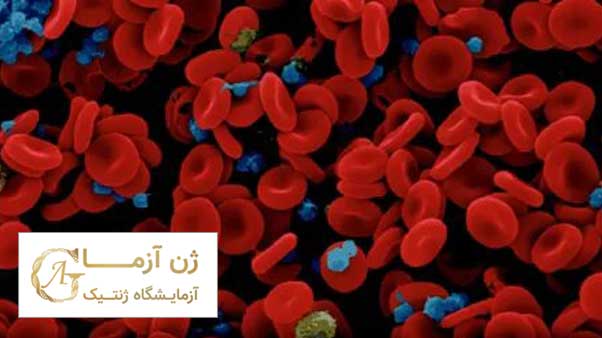 بیماری فون ویلبراند | ژن آزما